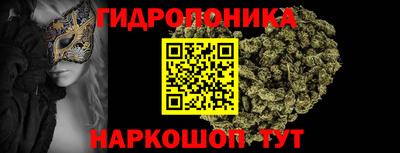 ГАЛЛЮЦИНОГЕННЫЕ ГРИБЫ Пугачёв