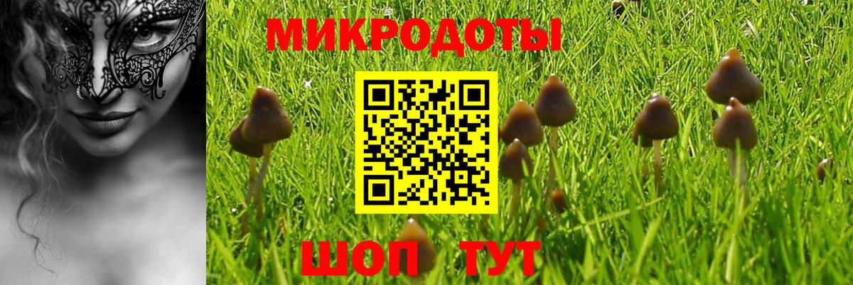 Псилоцибиновые грибы мицелий  Вход с VPN  Родники 